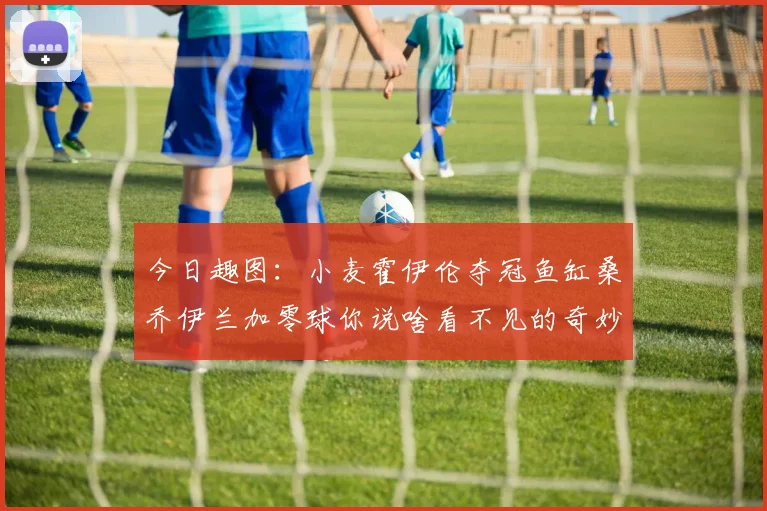 今日趣图：小麦霍伊伦夺冠鱼缸桑乔伊兰加零球你说啥看不见的奇妙瞬间